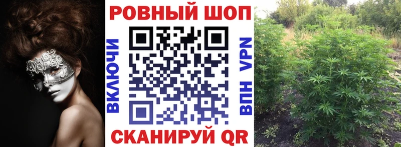 Продажа наркотиков Новый Оскол Бошки Шишки  Галлюциногенные грибы  A PVP  ГАШ  Кокаин  Меф 